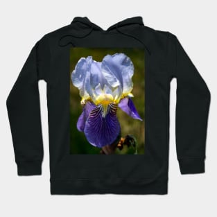 Iris Hoodie